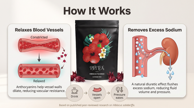 PiPi Tea Hibiscus — Lower Your Blood Pressure Naturally